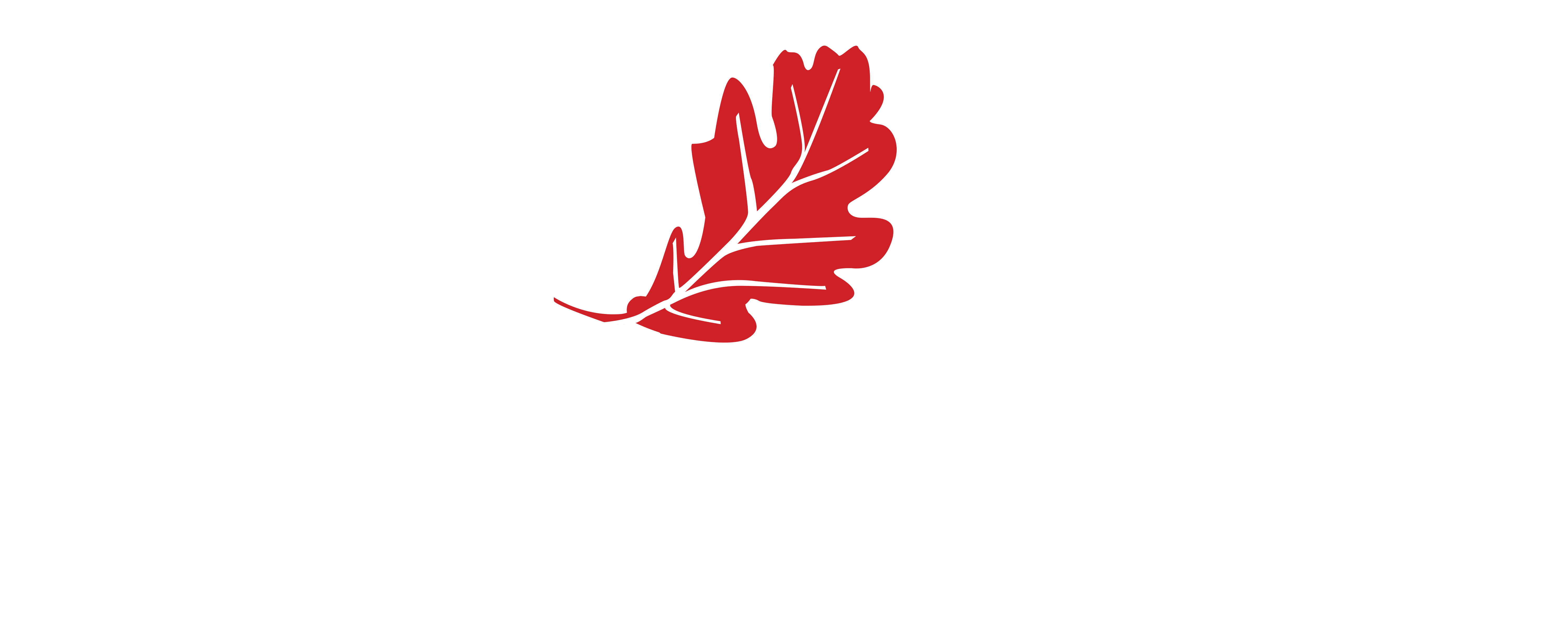 Red Leaf Psychology, home